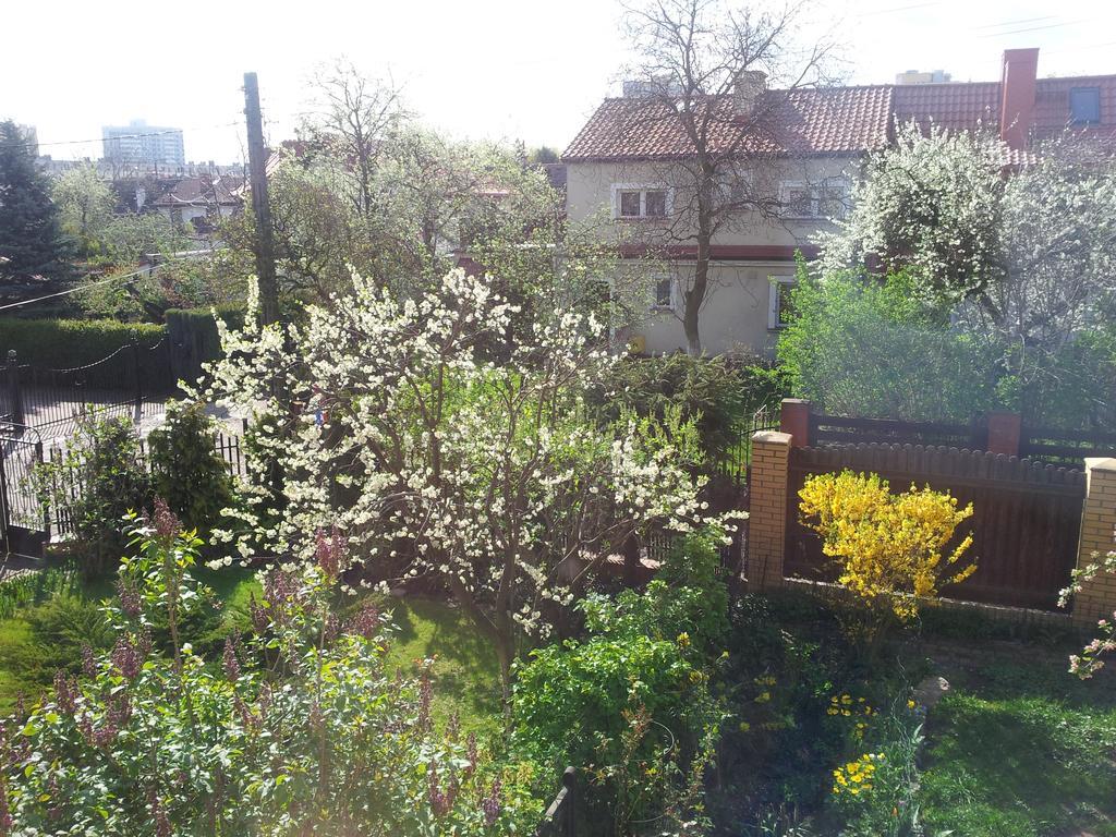 Cozy With Garden